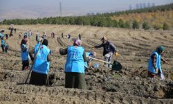 "1 İyilik 1 Fidan" projesiyle 800 bin fidan toprakla buluşturuldu