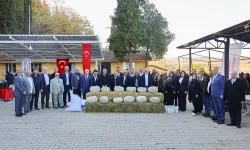 Kızıldamlar Kestane Kabağı Festivali'ne coşkulu kutlama