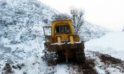 Artvin'de kar nedeniyle 7 köy yolu ulaşıma kapandı