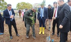 Cizre’de fidanlar toprakla buluştu