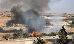 Şanlıurfa'da Gap Vadisi'nde yangın