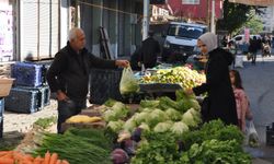 Sebze ve meyve fiyatları cep yakıyor