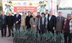 Adıyaman'da çiftçilere zeytin fidesi dağıtıldı