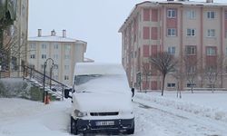 Doğu Anadolu’nun 4 ilinde 799 yerleşim birimi ulaşıma kapandı