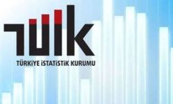 TÜİK 2023 girişim istatistiklerini açıkladı