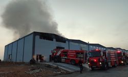 Malatya'da kağıt fabrikasında yangın