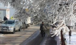 Meteorolojiden sis, buzlanma ve don uyarısı