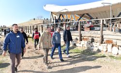 Vali Şıldak tarihi alanlarda devam eden çalışmaları yerinde inceledi