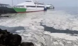 Marmara’nın çığlığına Bursa'dan ses oldular! Başkan Bozbey: Duymazdan gelemeyiz