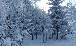 Meteoroloji'den 4 il için kuvvetli kar yağışı uyarısı