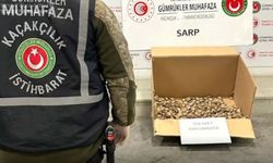 Sarp Gümrük Kapısı’nda kaçak su kaplumbağası operasyonu