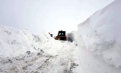 Yoğun kar yağışı nedeniyle 92 köy yolu kapandı, taşımalı eğitime ara verildi