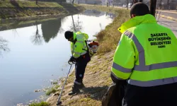 Sakarya'da Çark Deresi’nde bahar temizliği başladı