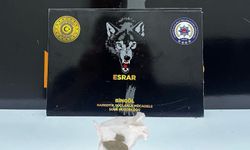 Bingöl’de uyuşturucu operasyonunda 2 şüpheli yakalandı