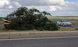 Diyarbakır'da maddi hasarlı trafik kazısı