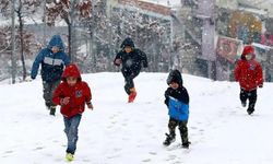 Kar yağışı nedeniyle bazı illerde eğitime ara verildi