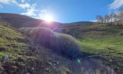 Ağrı'da baharın güzellikleri canlandı