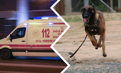 Antalya’da köpekten kaçan çocuğa motosiklet çarptı