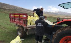 Bingöl’de mera ıslah çalışmaları devam ediyor