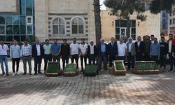 Cizre'de üreticilere 21 bin fide dağıtıldı