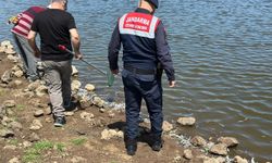 Diyarbakır'da gölette ölen balıklar kıyıya vurdu