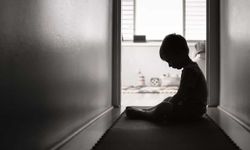 ‘Görünürde Normal Aile’ gizli kalmış bir çocukluk çağı travmasıdır!