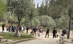 İşgalci yerleşimciler Aksa'ya baskın düzenledi