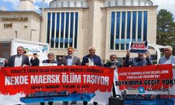 Malatya'dan çağrı: Mersin Limanı'na gelecek Maersk Gemisi'ni engelleyin!  
