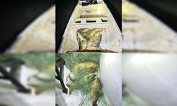 Şanlıurfa’da kaçak balık avlayan 3 kişiye 57 bin lira ceza kesildi