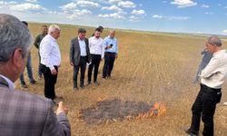 Şırnak’ta Ziraat Odaları Başkanları, kuraklık sorunu için yetkililere çağrıda bulundu