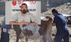 Veteriner hekimlerden sağlık sınıfı talebi!