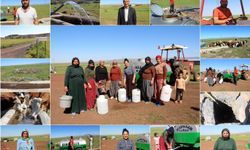 30 yıldır su sıkıntısı çeken Toytarlası Mahallesi sorunlarına çare istiyor