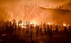 ABD'de orman yangını