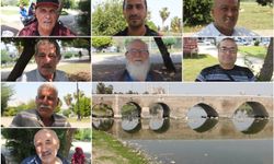 Adanalılar sinek sorunu nedeniyle tepkili: Belediyenin ilaçlama çalışmaları yetersiz