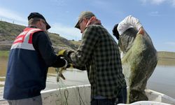 Batman'da kaçak balık avcılığına ceza kesildi