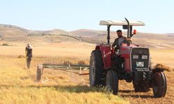 Batman’da mercimek hasadına başlandı