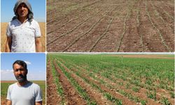 Çiftçiler: "Güneydoğu Anadolu Projesi acilen hayata geçirilsin"