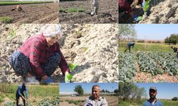 Çiftçiler: Toprak bereketli ama üretim maliyetleri çok yüksek