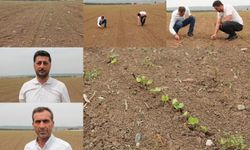 Çukobirlik Batman Şube Başkanı Kağba: Pamuk üreticiliğini artırmak zorundayız