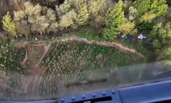 Diyarbakır'da yaklaşık bir buçuk milyon kenevir ve skunk ele geçirildi