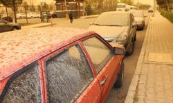 Doğu Anadolu için toz taşınımı uyarısı