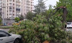 Doğu ve Güneydoğu için toz taşınımı ve fırtına uyarısı