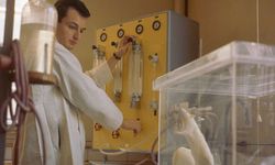 Donald Trump: Biden, fareleri trans yapmak için 8 milyon dolar harcadı