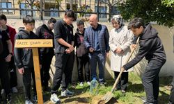 Filistinli çocukların çınarı İstanbul'da yeşeriyor