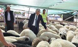 Gaziantep'te kurbanlık satış fiyatları belirlendi