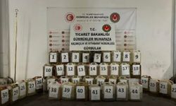 Gümrük ekipleri 764 kilo metamfetamin ele geçirdi
