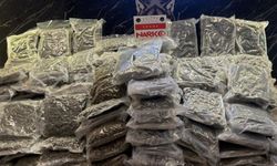 Hamzabeyli Sınır Kapısı’nda 115 kilogram uyuşturucu ele geçirildi: 2 tutuklama