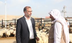 HÜDA PAR Şanlıurfa İl Başkanı Faruk Polat: Hayvancılık göz göre göre çöküyor...!
