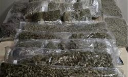 İzmir'de 19 kilogram esrar ele geçirildi: 1 gözaltı