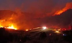 İzmir'de orman yangını